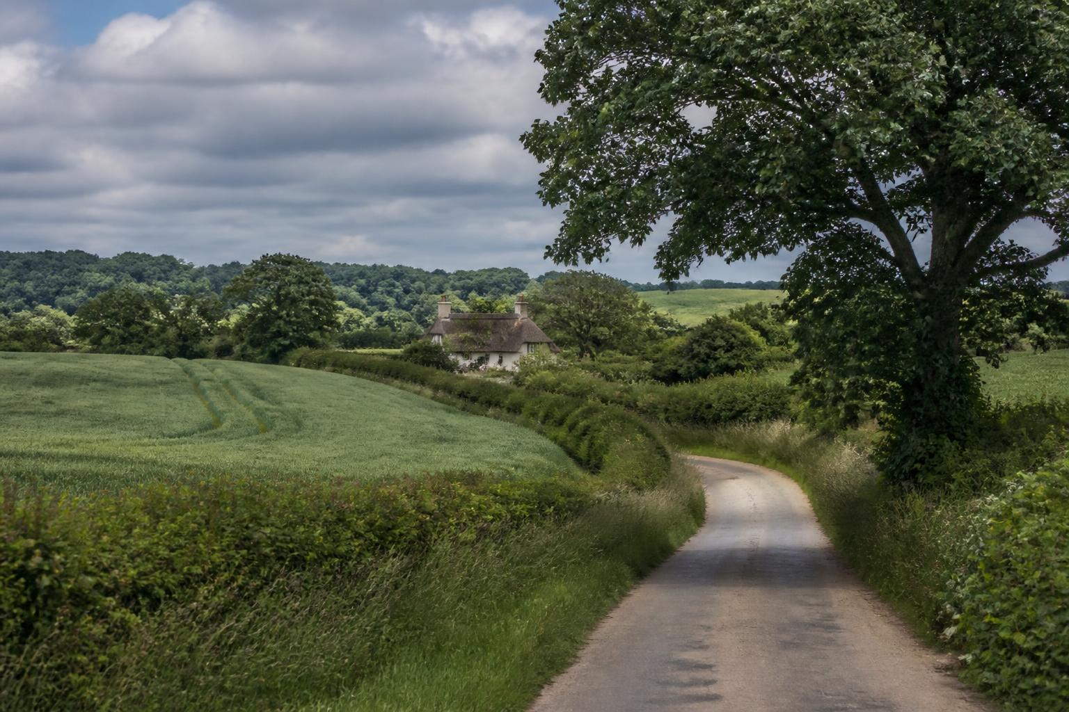 Rural Essex countryside — a winding country lane through green farmland with a traditional thatched cottage